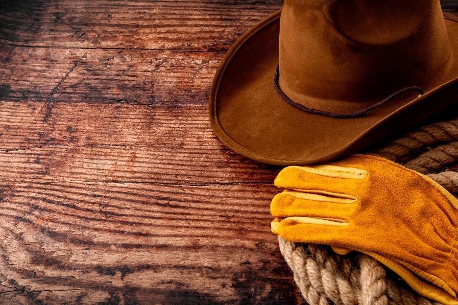 Cowboy Hat Rope and Gloves
