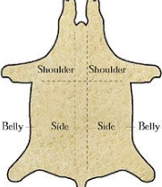 Shoulder and Shoulder Split Leather Diagram
